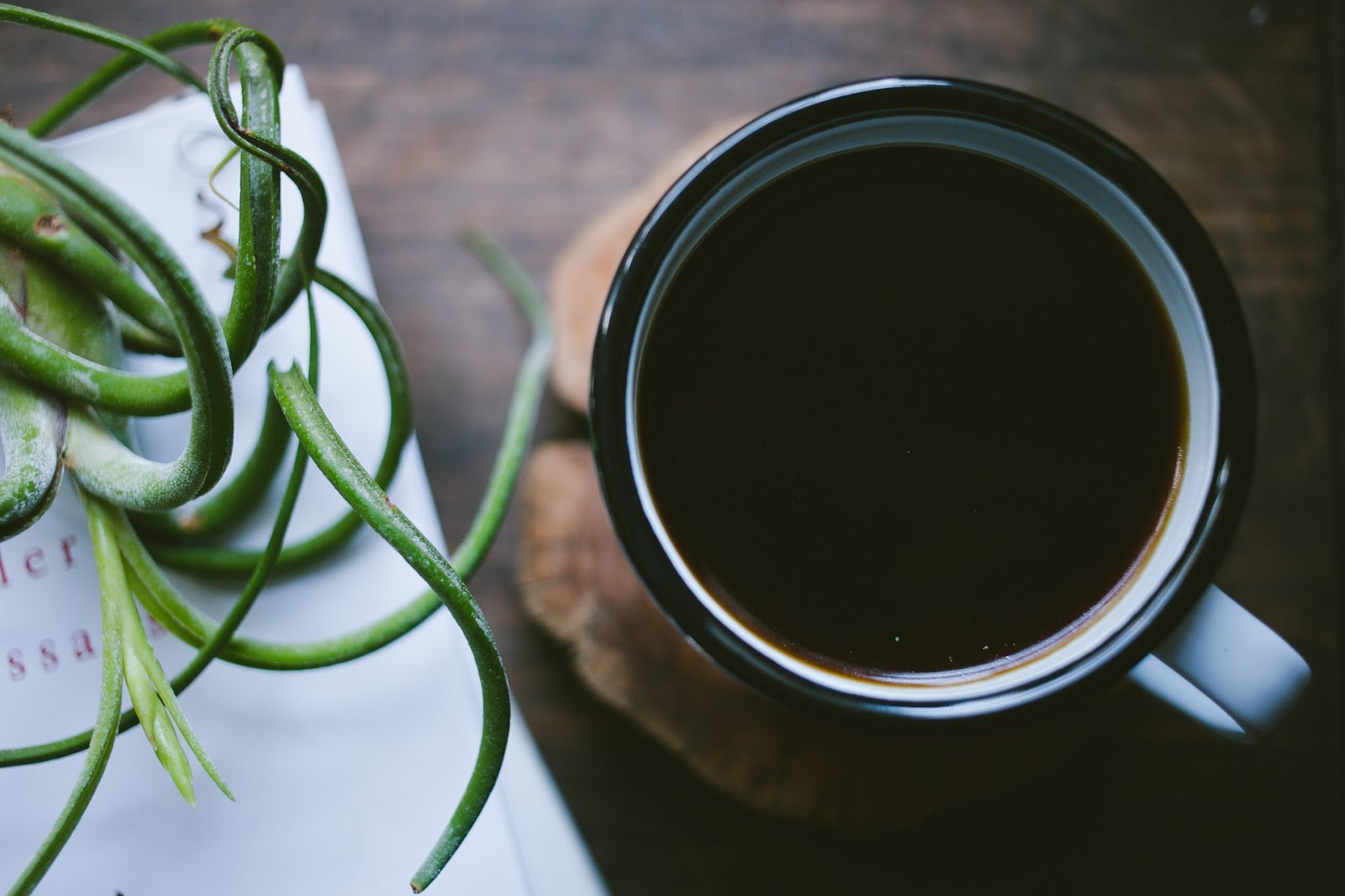 12 Inspiring Memoirs Written By Women