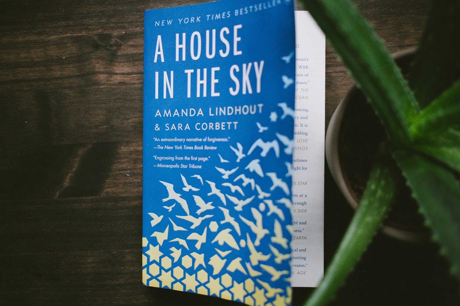 On My Nighstand: A House In The Sky