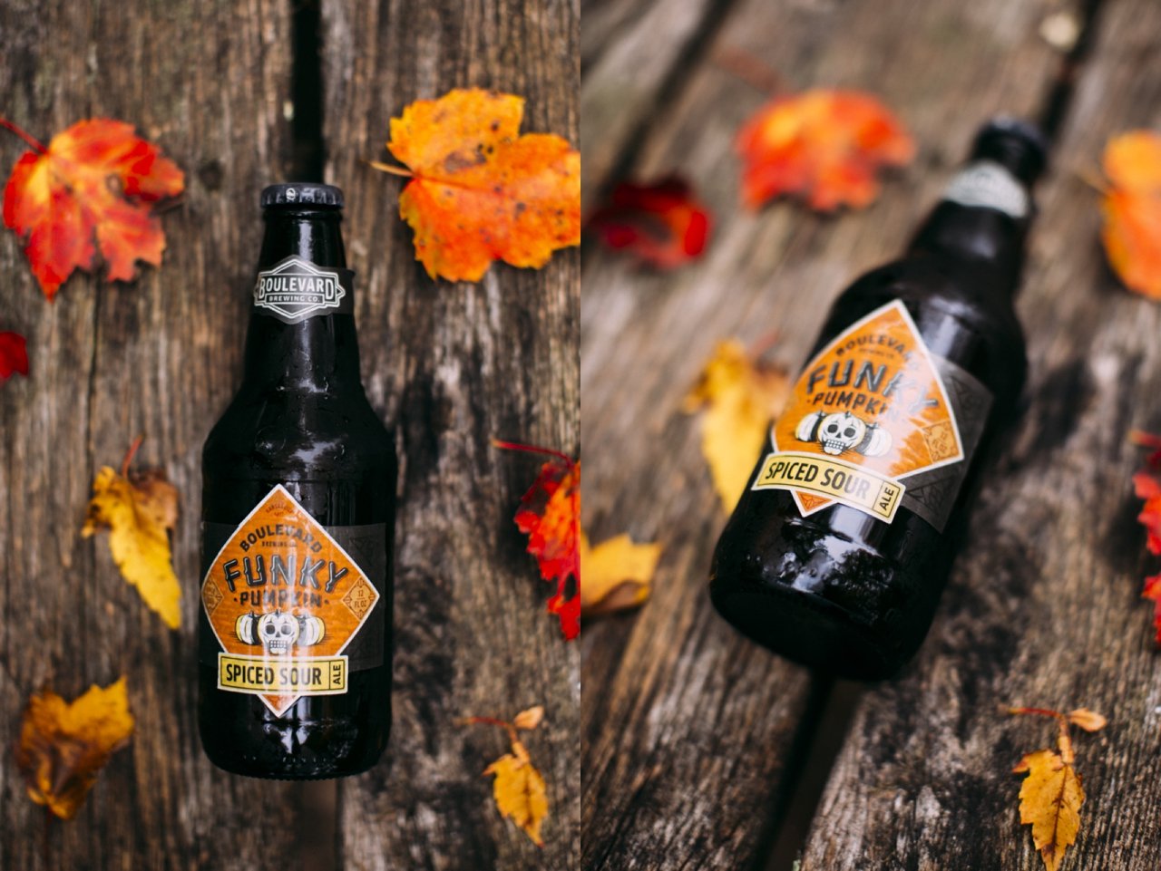 Funky Pumpkin Spiced Sour Beer
