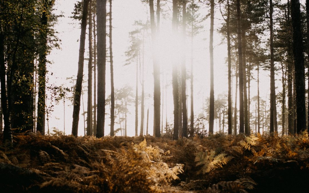 Dealing With Change As A Realist