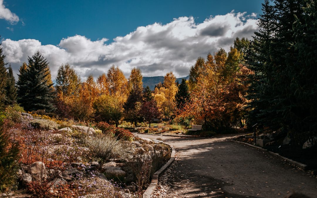 Autumn 2020
