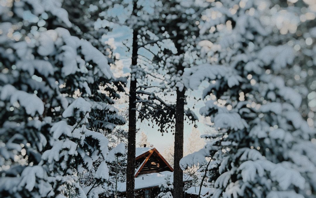 Happiness Project: December 2021