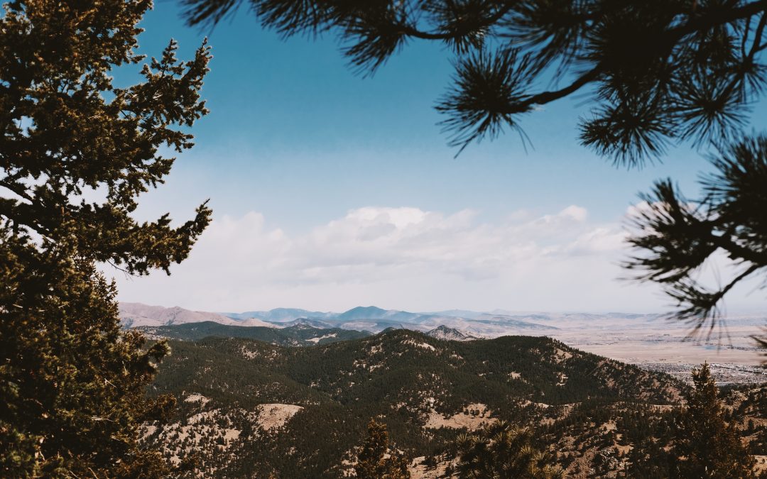 A Scenic Drive To Lost Gulch Overlook