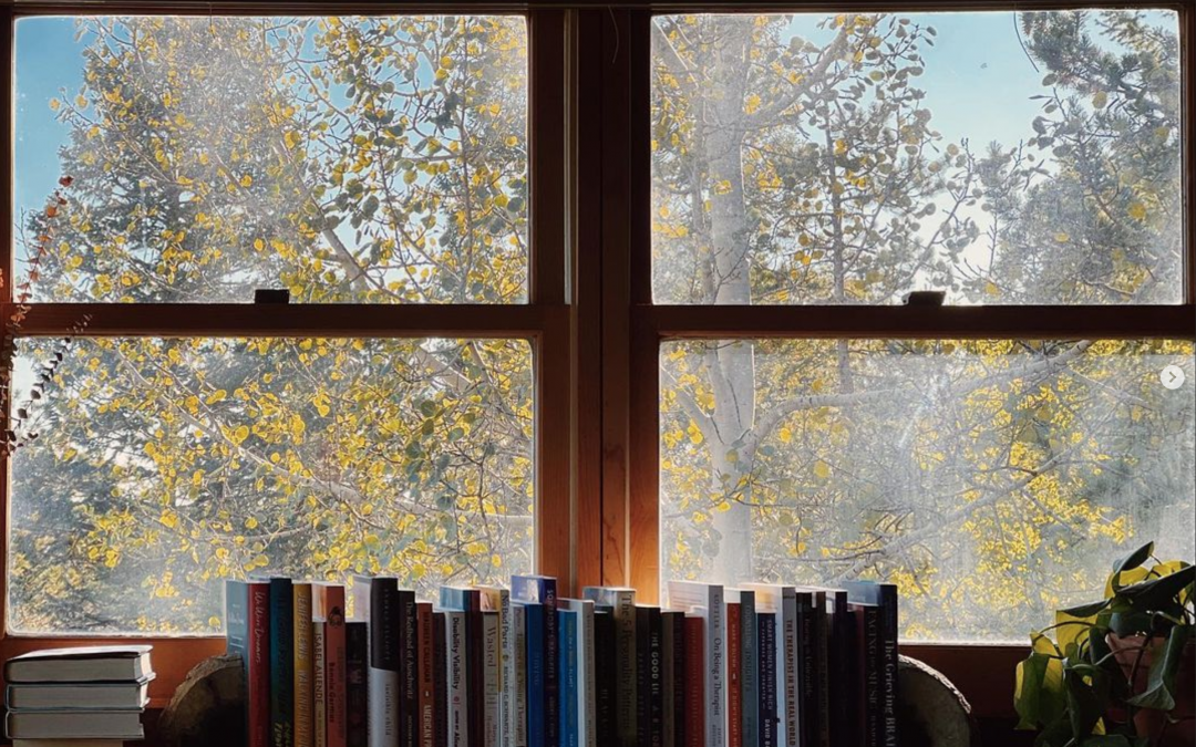 My Favorite Books I Read In 2022